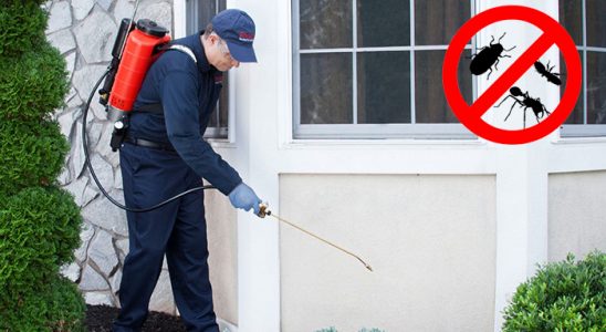 Çavdır Kemirgen İlaçlama böcek ilaçlama ve haşere kontrolü — ilaclama-tr.com